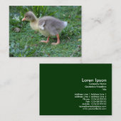 Carte De Visite Gosling (Devant / Derrière)