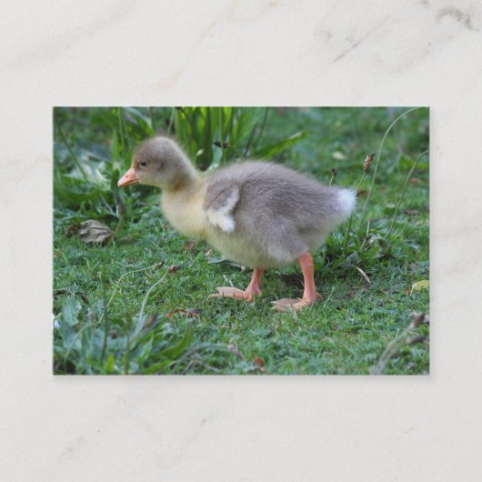Carte De Visite Gosling (Devant)