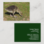 Carte De Visite Gosling (Devant / Derrière)