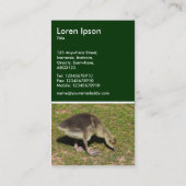 Carte De Visite Gosling - Vert foncé (Dos)