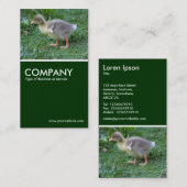 Carte De Visite Gosling - Vert foncé (Devant / Derrière)