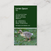 Carte De Visite Gosling - Vert foncé (Dos)