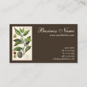 Carte De Visite Graines de fruits Plantes de muscade vintage, Herb
