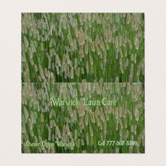 Carte De Visite Graines vertes (Extérieur déplié)