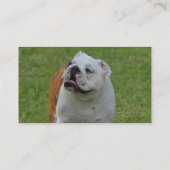 Carte De Visite Grand bouledogue (Dos)
