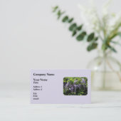 Carte De Visite Grappes de glycine (Debout devant)