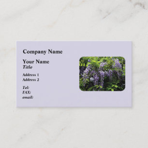 Carte De Visite Grappes de glycine