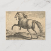 Carte De Visite Gravure antique élégante de cheval espagnol (Dos)