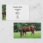 Carte De Visite Grazing de Horse (Devant / Derrière)