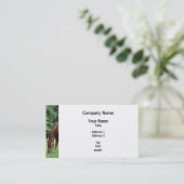 Carte De Visite Grazing de Horse (Debout devant)