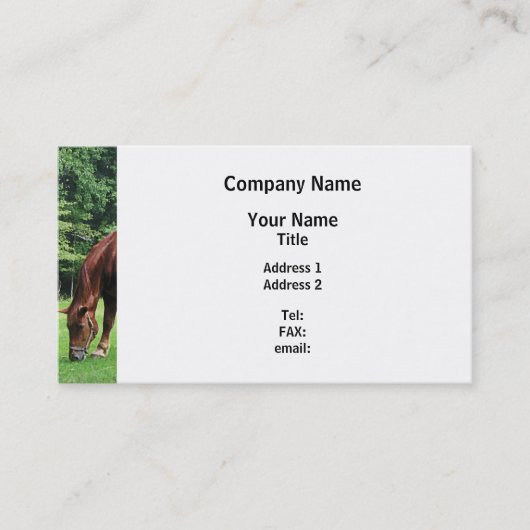 Carte De Visite Grazing de Horse (Devant)