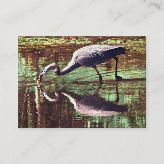 Carte De Visite Great Blue Heron Fishing ATC (Devant)