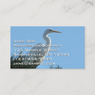 Carte De Visite Great Egret dans la Floride ensoleillée
