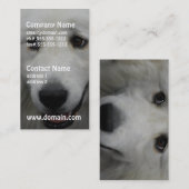 Carte De Visite great-pyrenees-20.jpg (Devant / Derrière)