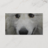 Carte De Visite great-pyrenees-20.jpg (Dos)