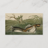 Carte De Visite Grebe from Audubon's Birds of America (Dos)