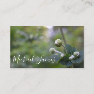 Carte De Visite Green Flower Bud Jardin Nature Photographie Floral