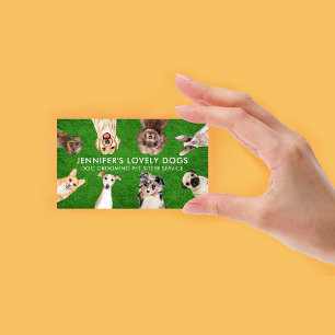 Carte De Visite Green Grass mignonne Chiens de petite taille Pet S