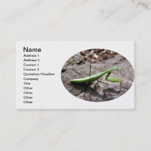 Carte De Visite Green preying mantis on a rock