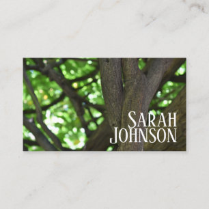 Carte De Visite Green Wisteria Pergola Tree Nature Photographie