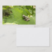 Carte De Visite Grenouille d'arbre grise (Devant / Derrière)