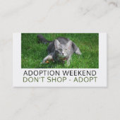 Carte De Visite Grey Cat on Grass, Pet Adoption Evénement Publicit (Devant)