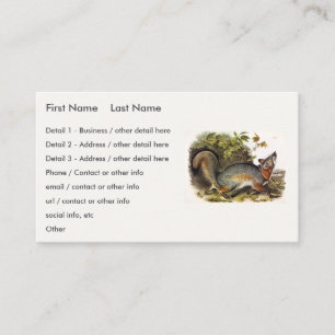 Carte De Visite Grey Fox / Grey Fox Audubon's American Quadrupeds