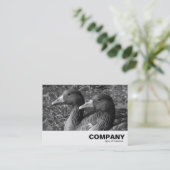 Carte De Visite Grey Geese B&W (Debout devant)