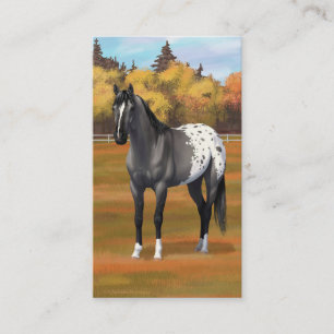Carte De Visite Gris Grulla Appaloosa Quartier Horse Stallion