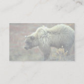 Carte De Visite Grizzly Bear (Dos)