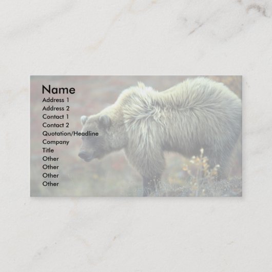 Carte De Visite Grizzly Bear (Devant)