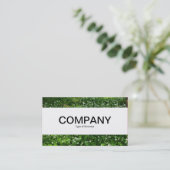 Carte De Visite Groupe Central  - Fleurs de la forêt (Debout devant)