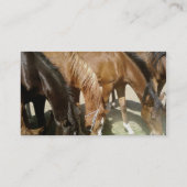 Carte De Visite Groupe de chevaux (Dos)