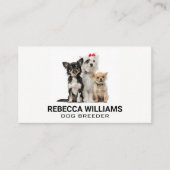Carte De Visite Groupe de chiens | Services animaux (Devant)
