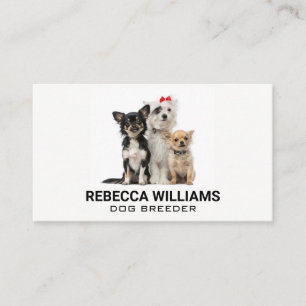 Carte De Visite Groupe de chiens   Services animaux