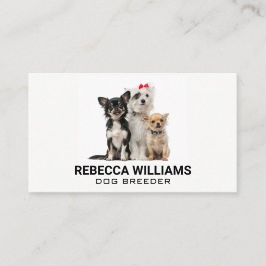 Carte De Visite Groupe de chiens | Services animaux (Devant)