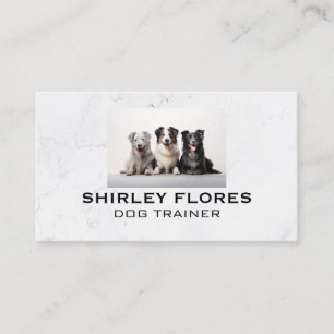 Carte De Visite Groupe de Chiens Soins pour Animaux de Compagnie