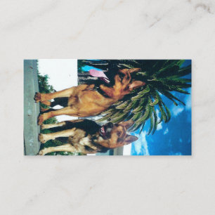 Carte De Visite groupe german shepherd