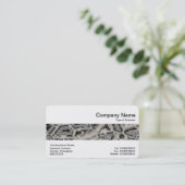 Carte De Visite Groupe moyen - Chaos gris (Debout devant)