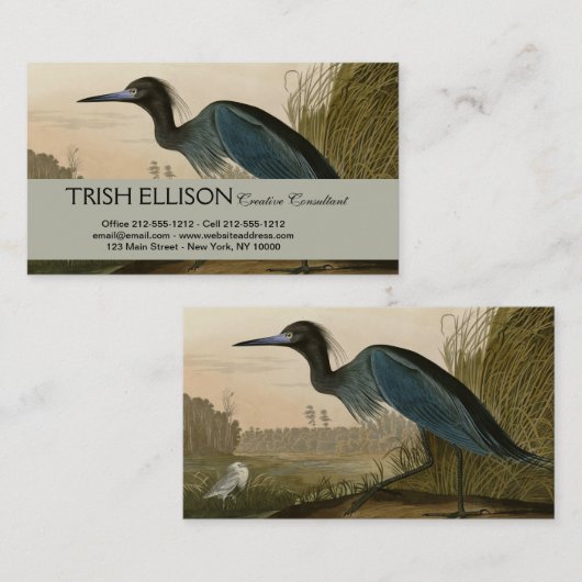 Carte De Visite Grue Bleue Heron Audubon Peinture (Devant / Derrière)