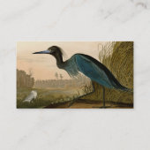 Carte De Visite Grue Bleue Heron Audubon Peinture (Dos)
