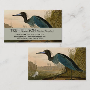Carte De Visite Grue bleue Héron Impression Audubon Art côtier
