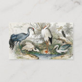 Carte De Visite Grue, cigogne blanche, héron, petit aigle et arbre (Dos)
