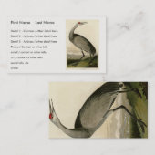 Carte De Visite Grue de Sandhill d'Audubon's Birds of America (Devant / Derrière)