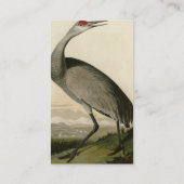 Carte De Visite Grue de Sandhill d'Audubon's Birds of America (Dos)