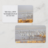 Carte De Visite Grues de Sandhill (Devant / Derrière)