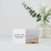 Carte De Visite Grues de Sandhill (Debout devant)