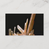 Carte De Visite Gypse (Dos)