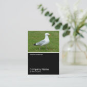 Carte De Visite Half&Half Photo 0156 - Mouette dans le parc (Debout devant)