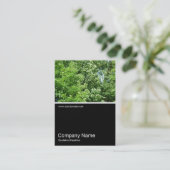 Carte De Visite Half&Half Photo 0160 - Summer Breeze (Debout devant)